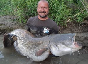 rybolov sumců na řece Pád
